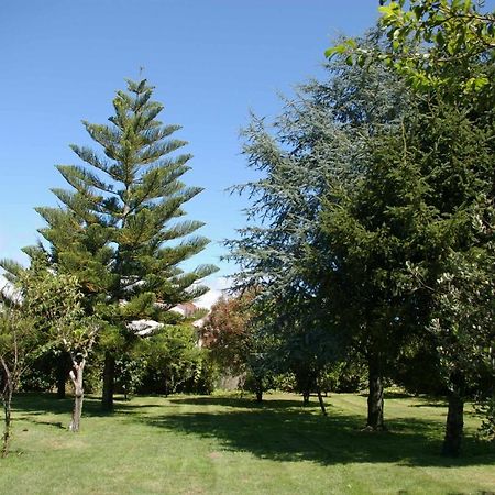 Vivienda Tradicional Con Jardin Y Patio Interior Villa Villanueva De Arosa Eksteriør bilde