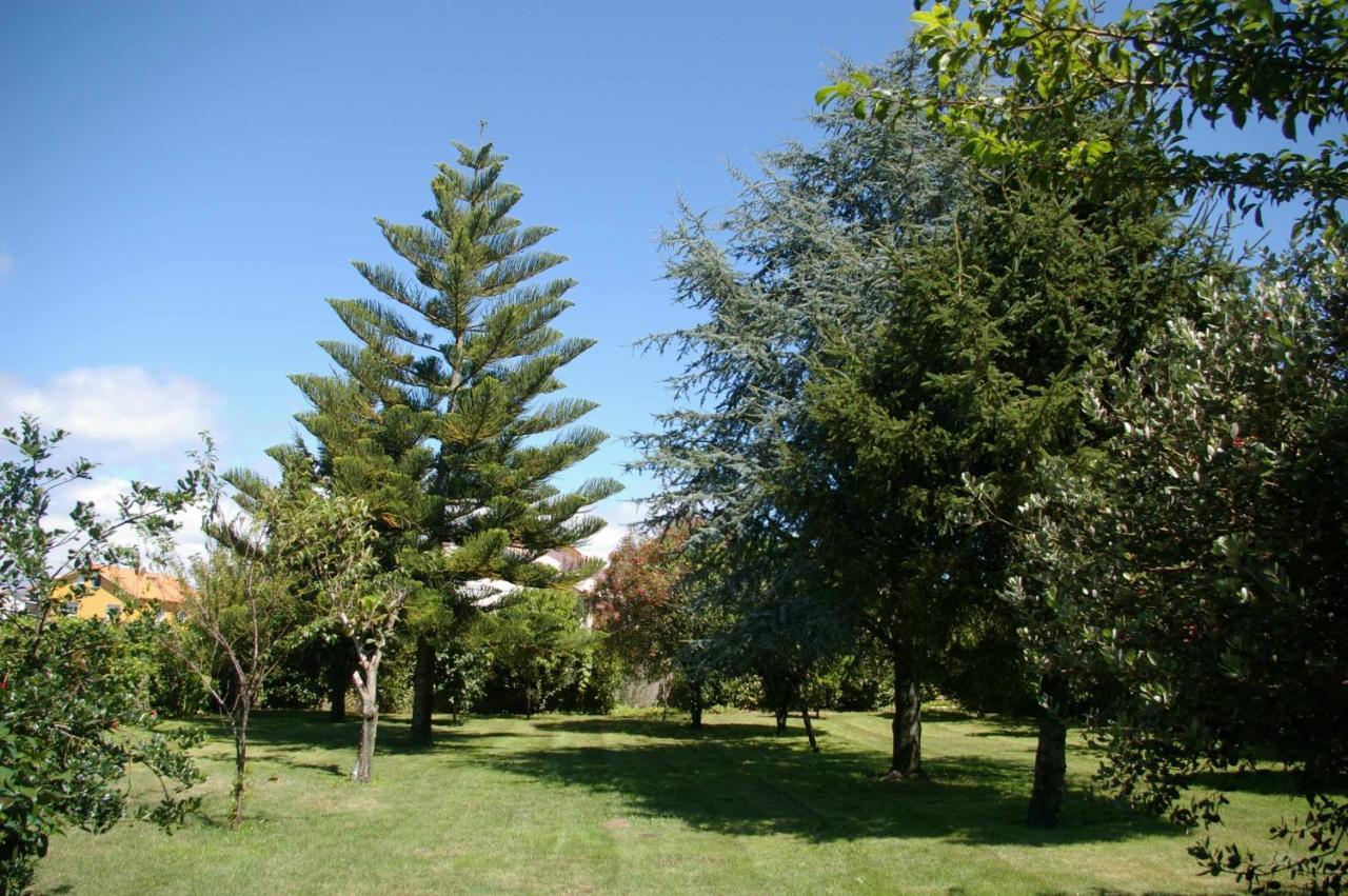 Vivienda Tradicional Con Jardin Y Patio Interior Villa Villanueva De Arosa Eksteriør bilde