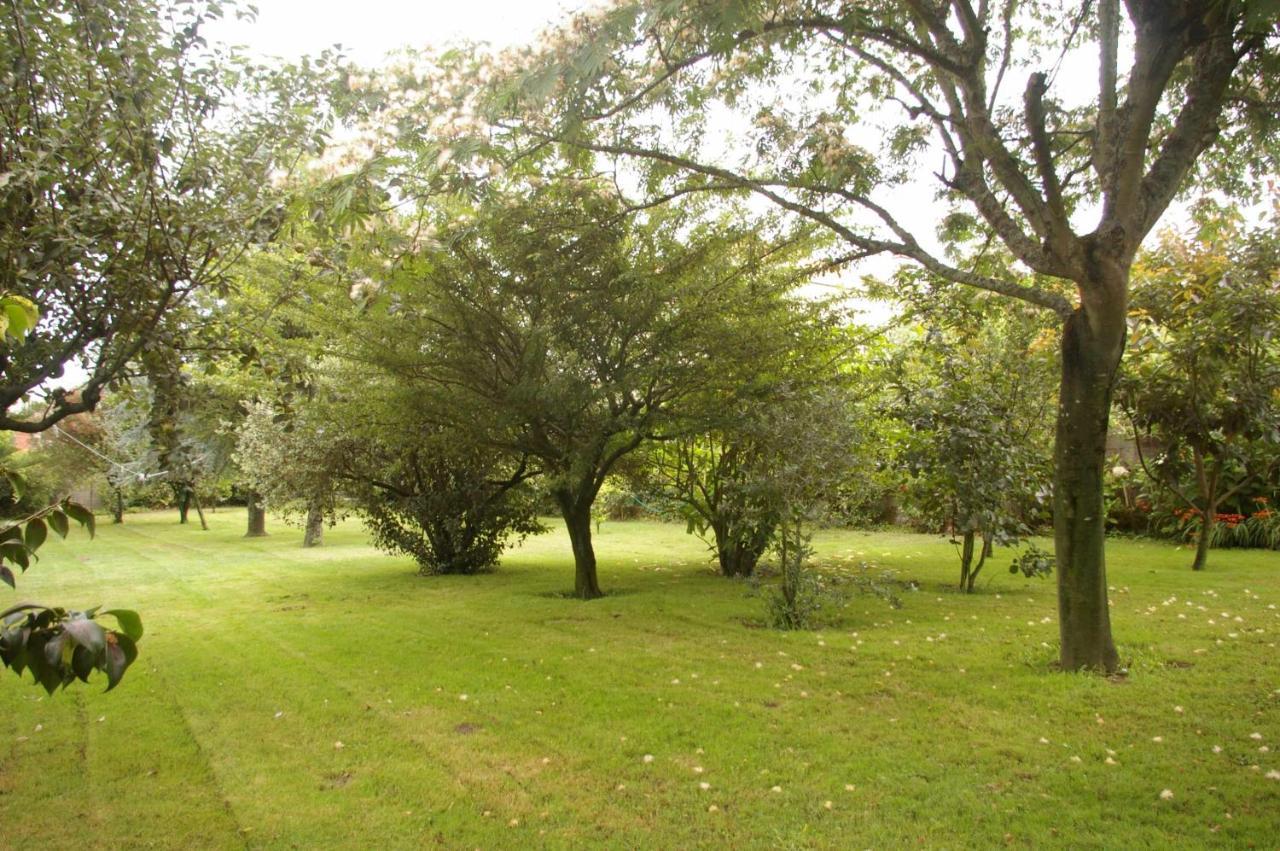 Vivienda Tradicional Con Jardin Y Patio Interior Villa Villanueva De Arosa Eksteriør bilde