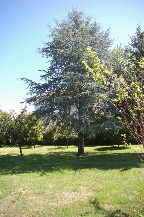 Vivienda Tradicional Con Jardin Y Patio Interior Villa Villanueva De Arosa Eksteriør bilde